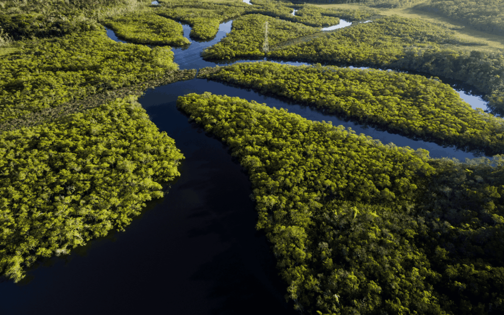 Pantanal